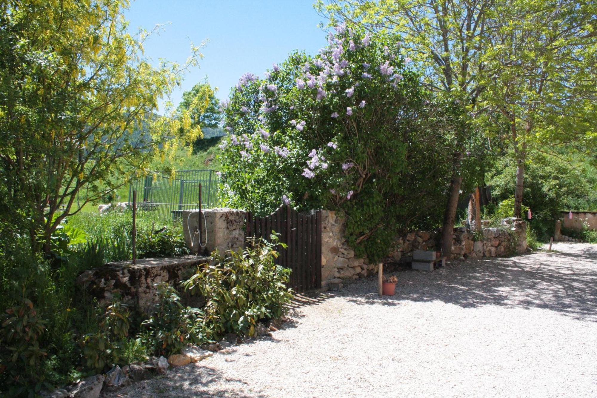 Chateau De Camurac Εξωτερικό φωτογραφία